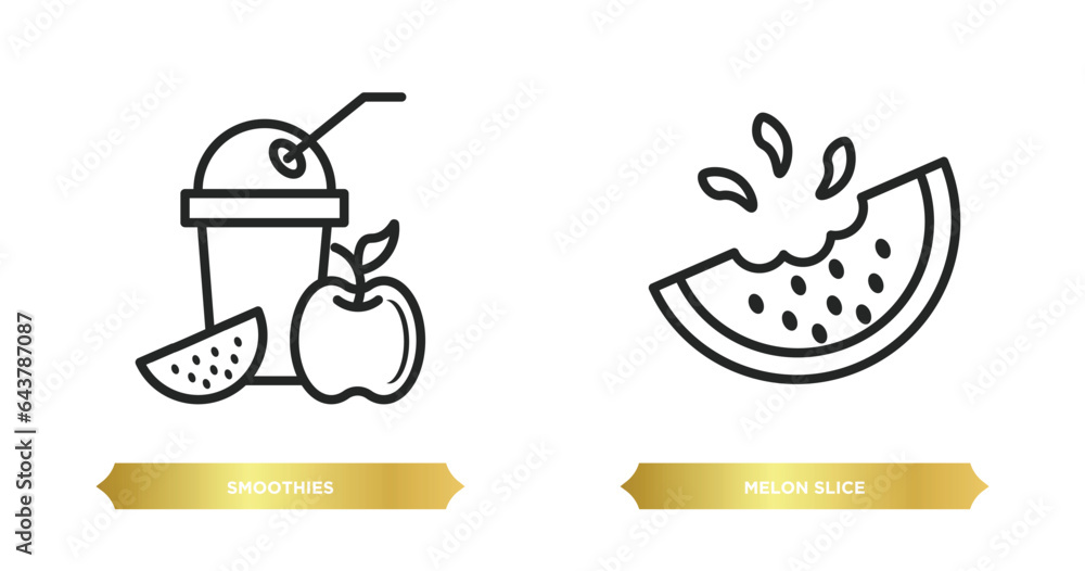 Poster two editable outline icons from food concept. thin line icons such as smoothies, melon slice vector.