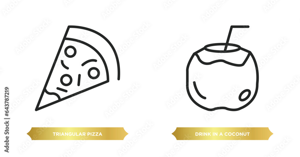 Poster two editable outline icons from food concept. thin line icons such as triangular pizza slice, drink 