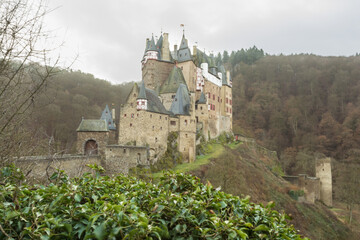 Fototapeta na wymiar old castle in the forest