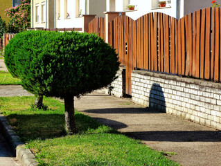 vertical stained brown wood planks. front yard with classic fence along sidewalk. mediterranean...