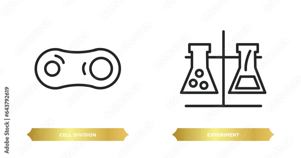 Poster two editable outline icons from chemistry concept. thin line icons such as cell division, experiment