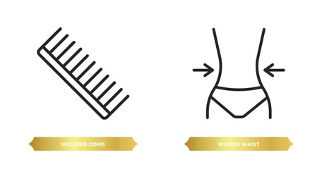Fototapeta premium two editable outline icons from beauty concept. thin line icons such as inclined comb, women waist vector.