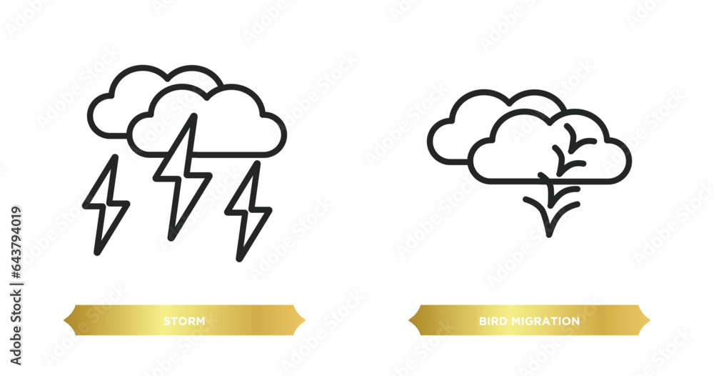 Poster two editable outline icons from autumn concept. thin line icons such as storm, bird migration vector