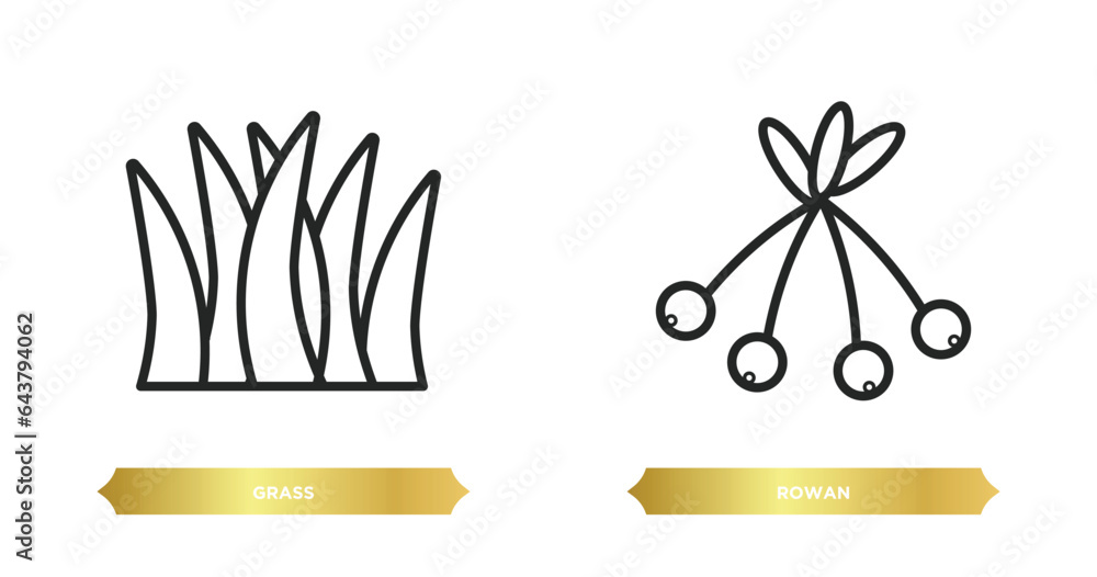 Poster two editable outline icons from autumn concept. thin line icons such as grass, rowan vector.