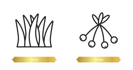 two editable outline icons from autumn concept. thin line icons such as grass, rowan vector.