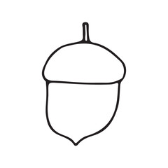 acorn. image of dubar fruits. coloring. doodle. drawing for stickers, decor, cards, badges, coloring pages, logos. vector illustration