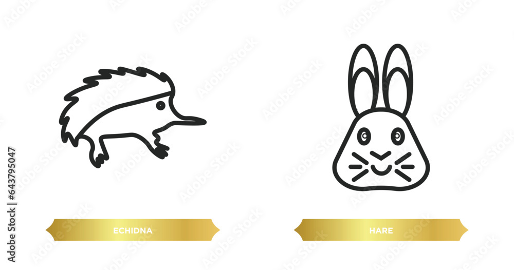 Poster two editable outline icons from animals concept. thin line icons such as echidna, hare vector.