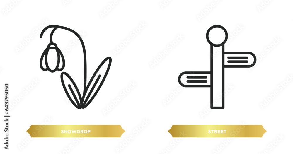 Poster two editable outline icons from architecture and city concept. thin line icons such as snowdrop, street vector.