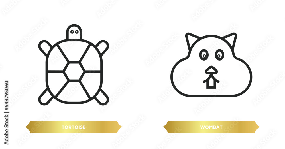 Poster two editable outline icons from animals concept. thin line icons such as tortoise, wombat vector.