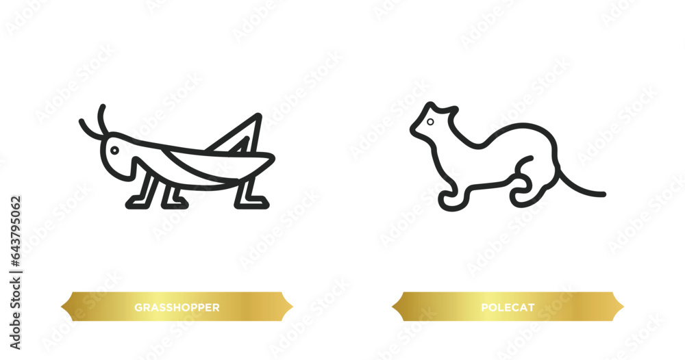 Poster two editable outline icons from animals concept. thin line icons such as grasshopper, polecat vector