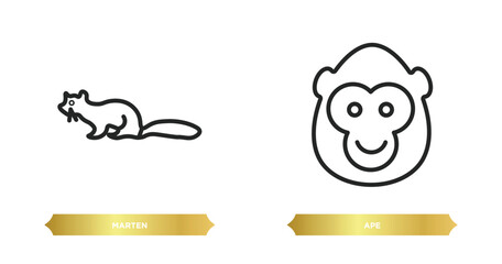 two editable outline icons from animals concept. thin line icons such as marten, ape vector.