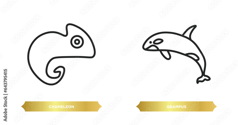 Poster two editable outline icons from animals concept. thin line icons such as chameleon, grampus vector.