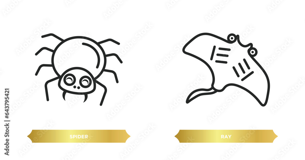 Poster two editable outline icons from animals concept. thin line icons such as spider, ray vector.