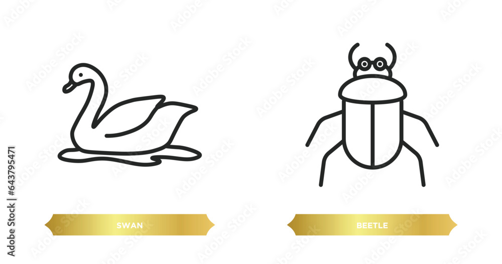 Poster two editable outline icons from animals concept. thin line icons such as swan, beetle vector.