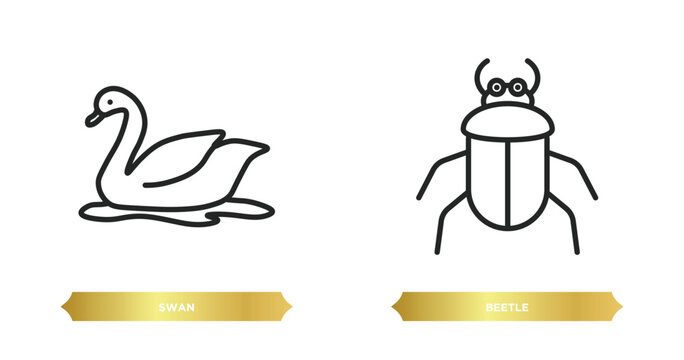 two editable outline icons from animals concept. thin line icons such as swan, beetle vector.