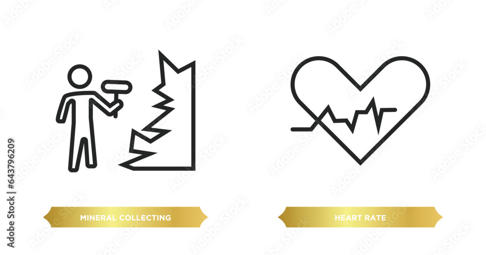 Poster two editable outline icons from activity and hobbies concept. thin line icons such as mineral collec