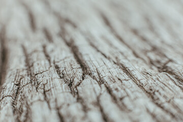 Worn Elegance: A Close Look at the Grizzled Gray and White Timber Texture
