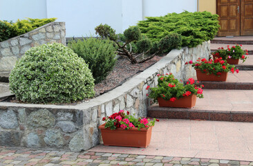 Fototapeta na wymiar Design of landscaping in the garden, park, square, recreation area