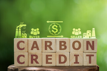 Carbon credit text on timbers on natural background and icons.