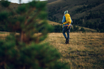 Rear view of a stylish man hiking on a mountain path with tall grass