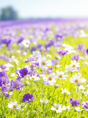 "Sunlit Floral Wonderland: Closeup Macro of Flower Field in Spring or Summer Garden - A Stunning Meadow of Blooms and Colorful Beauty."