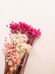 Pink and white flowers on a white background. Nature. Flowers. Welcome card. Space for text. Top view. High quality photo