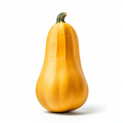 Photo of Butternut Squash isolated on a white background