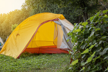 Waterproof basecamp tent standing on grass in forest during sunlight