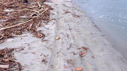 the beach is full of organic waste, the concept of environmental pollution