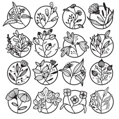  set of floral graphic elements. Illustrations of hand drawn plants and flowers