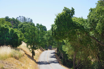 Fototapeta na wymiar Rural California Forest Landscape Road