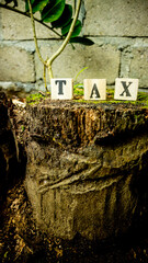 letters on wooden blocks arranged to form the word tax