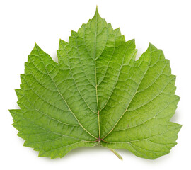 Green Grape leaves isolated on white background, Grape leaf on white background with clipping path.