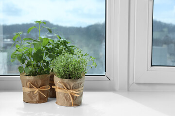 Different fresh potted herbs on windowsill indoors. Space for text