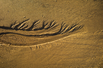 Erosion pattern in beach sand