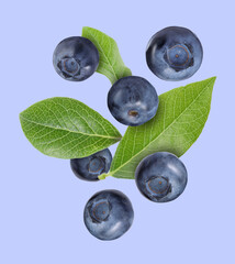 Many ripe blueberries and green leaves falling on color background