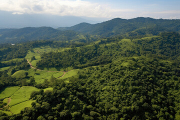 Fototapeta na wymiar Nature's Serene Haven: A Majestic Aerial View of Abundant Forest Reserve, Unspoiled and Tranquil