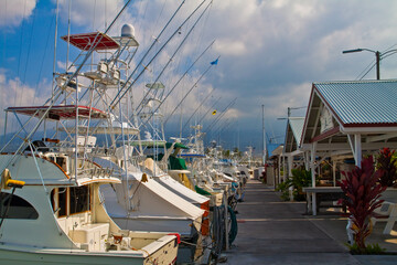 Honokohau Marina and  Small Boat Harbor, Kailua-Kona, Hawaii Island, Hawaii, USA