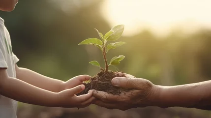 Tuinposter Oude deur Generative AI : concept generation and development elderly man and baby holding hands green plants sprout