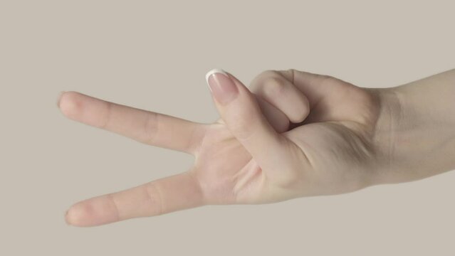 Vertical video. V sign. Peace victory. Set of 2 female hands showing gesture with fingers body language isolated on gray free space background.