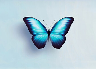 Fototapeta na wymiar Blue Butterfly Against a White Background