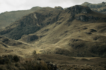 Landscape in the mountains
