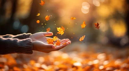 Fotobehang 紅葉して風に舞う美しい落ち葉を掴もうとする手のクローズアップ © Hanako ITO