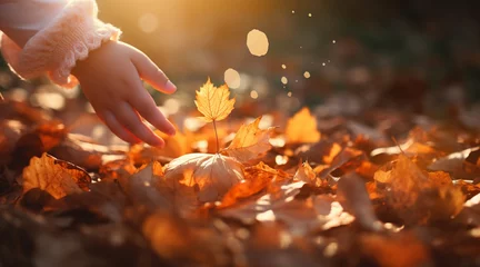 Fotobehang 紅葉して風に舞う美しい落ち葉を掴もうとする手のクローズアップ © Hanako ITO