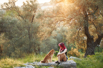 girl with pink hair and a dog for a walk at sunset. Pet in the olive grove. Shiba Inu in the sun