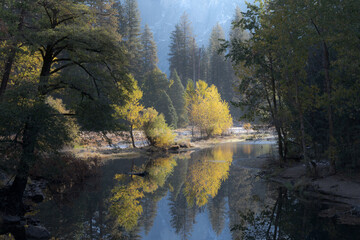 Obraz premium Solitude in Yosemite National Park, California