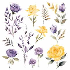 unique watercolor floral flowers clipart for wedding card minimal with white background isolated separated design