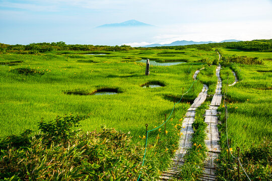Mt. Gassan Midagahara Marsh and Sea of Clouds, Japan,Yamagata Prefecture,Higashitagawa District, Yamagata,Tsuruoka, Yamagata
