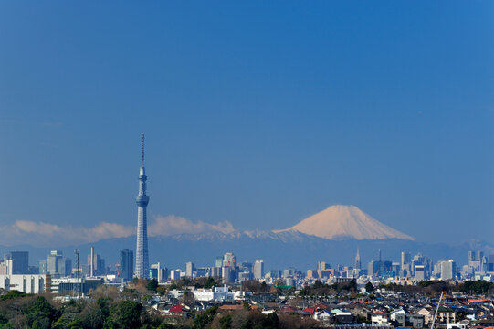 Tokyo Sky Tree and Mount Fuji, Japan,Chiba Prefecture,Matsudo, Chiba