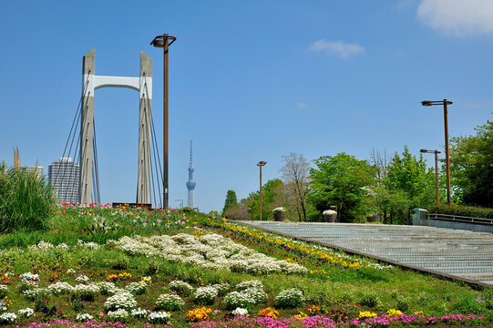 Kiba Park and Sky Tree, Japan,Tokyo,Koto, Tokyo